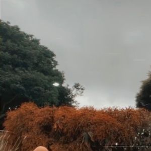 Meet your Posher, Isis